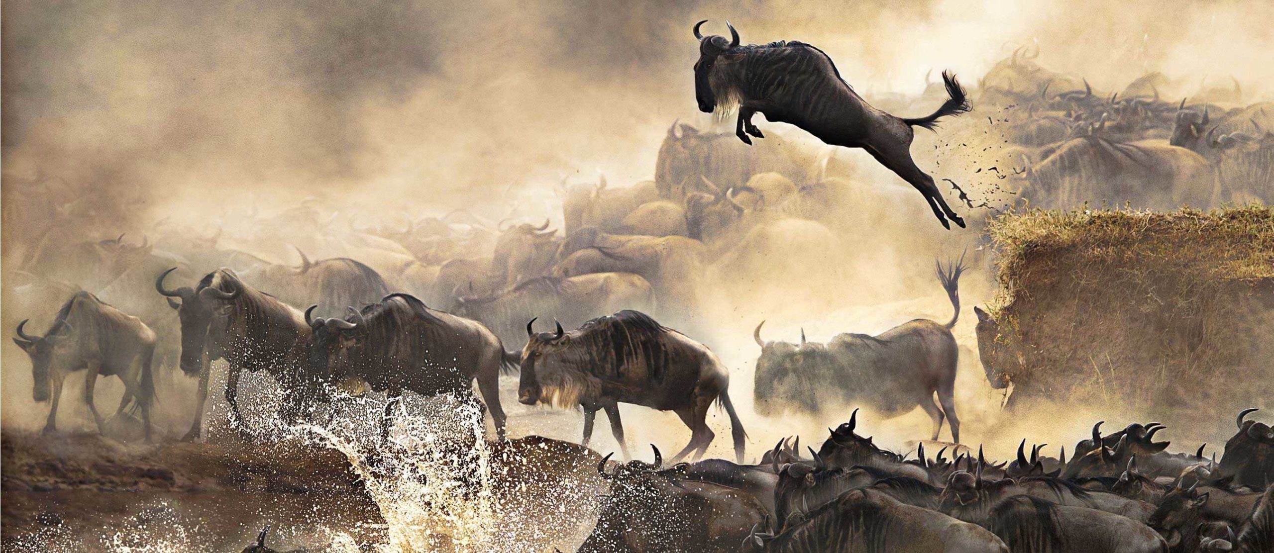 The-Wildebeest-Migration-scaled